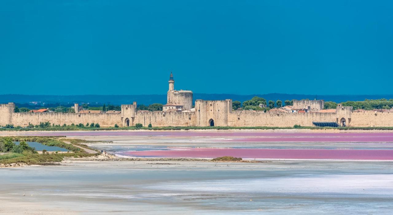Provence Now Apartment Cabrieres-d'Avignon Exterior photo